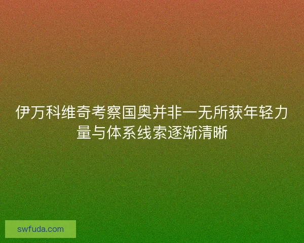 伊万科维奇考察国奥并非一无所获年轻力量与体系线索逐渐清晰